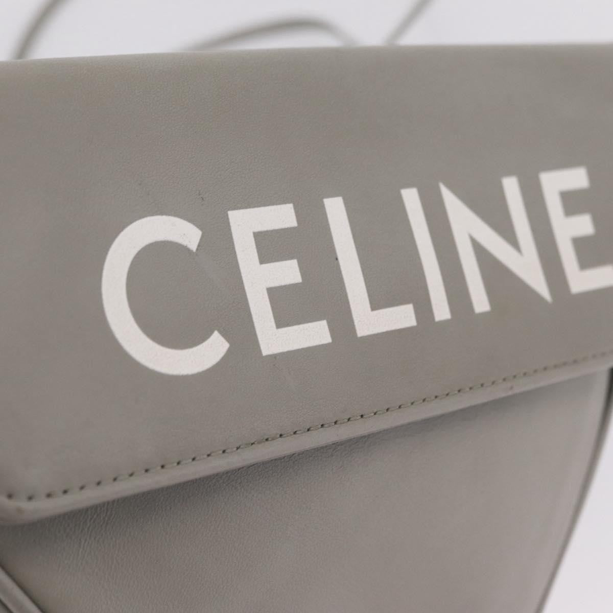 Celine Triangle Leather, Gray, Leather, Handbag