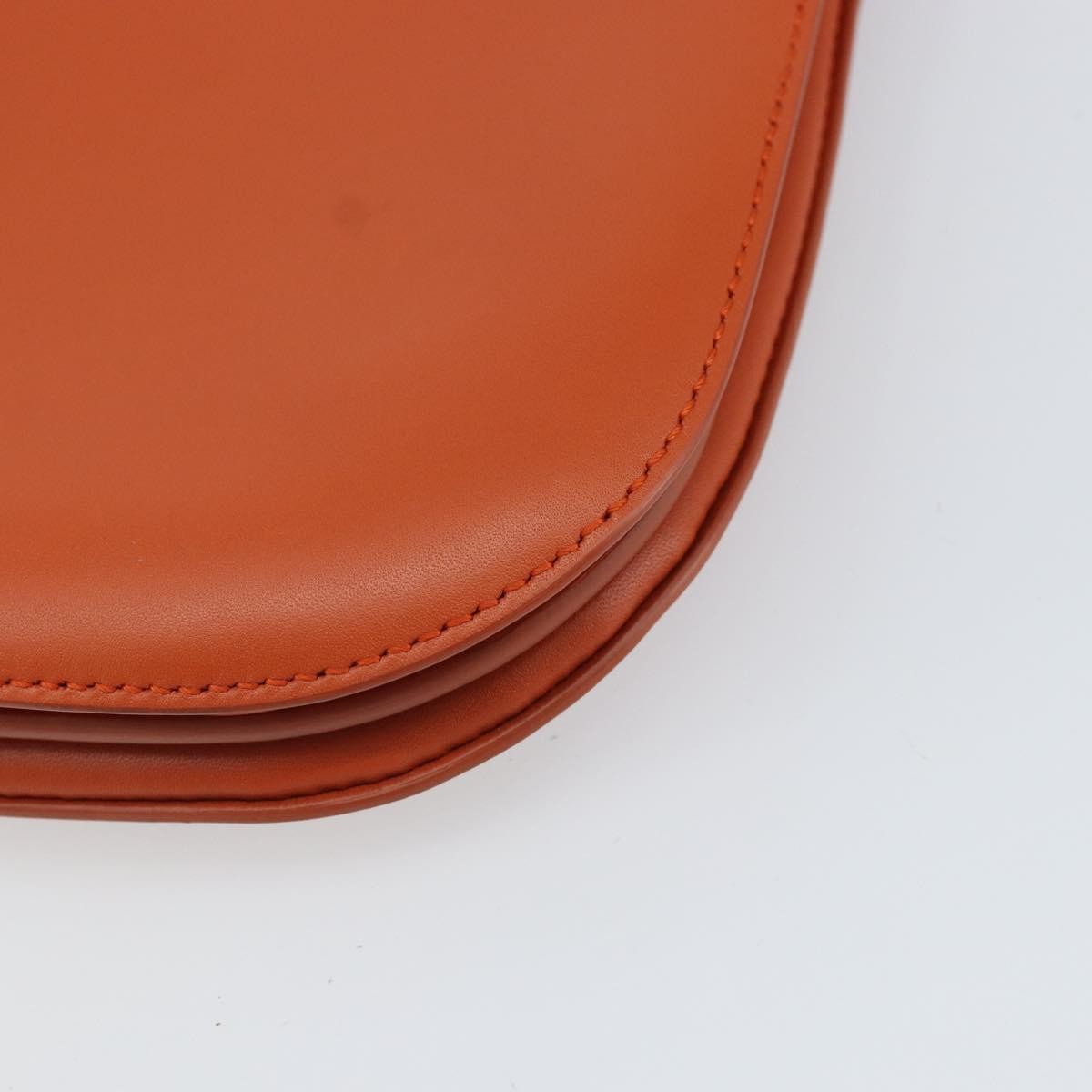 Bottega Veneta Mount Leather, Brown, Leather, Shoulder Bag