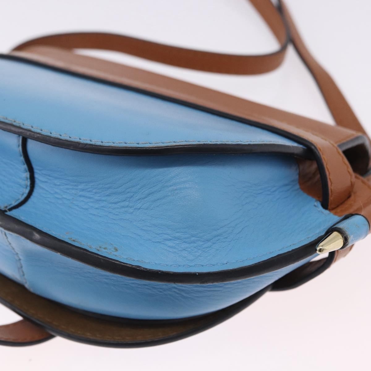Loewe Metal Gate Leather, Multicolour, Leather, Shoulder Bag