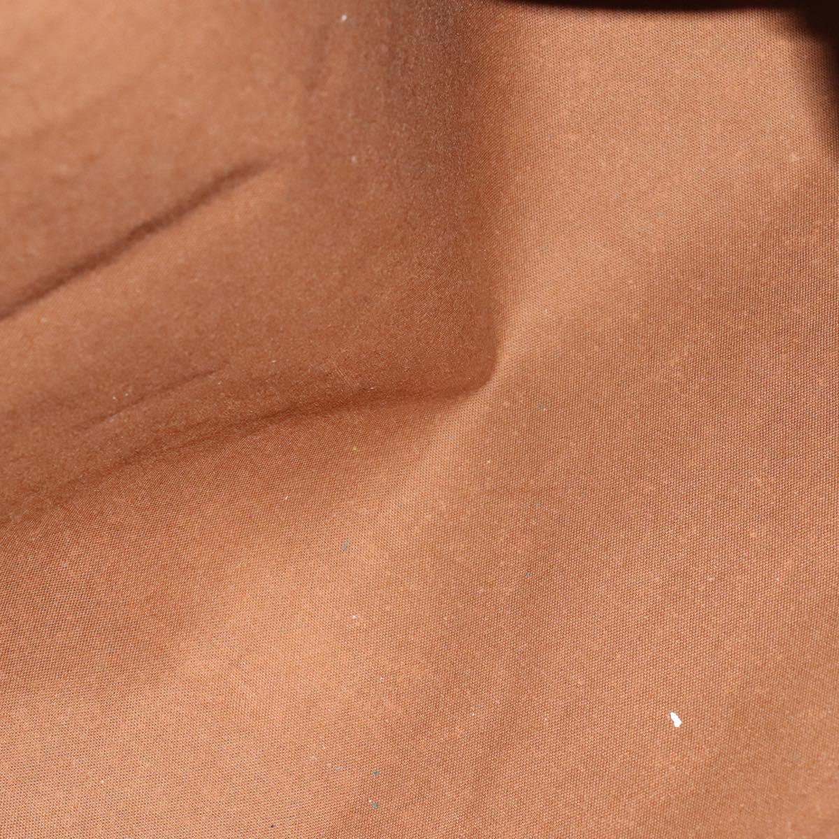 Louis Vuitton Speedy Handbag Monogram Canvas, BROWN, CANVAS, Handbag