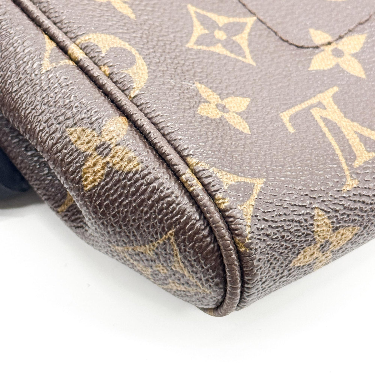 Louis Vuitton Favorite Monogram Canvas, Brown, Canvas, Handbag