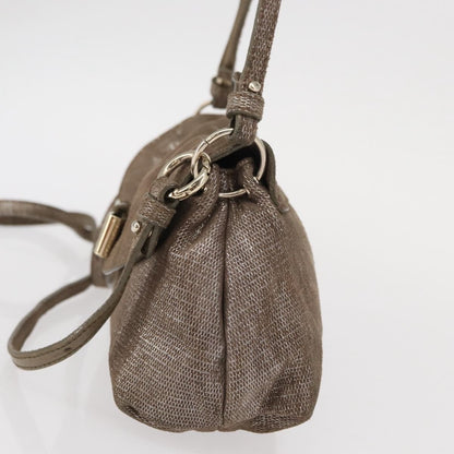 Chloe Lily Canvas, Silver, Canvas, Handbag