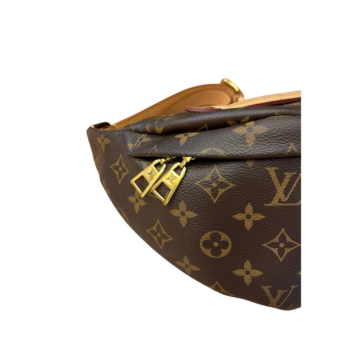 Louis Vuitton Monogram Bumbag