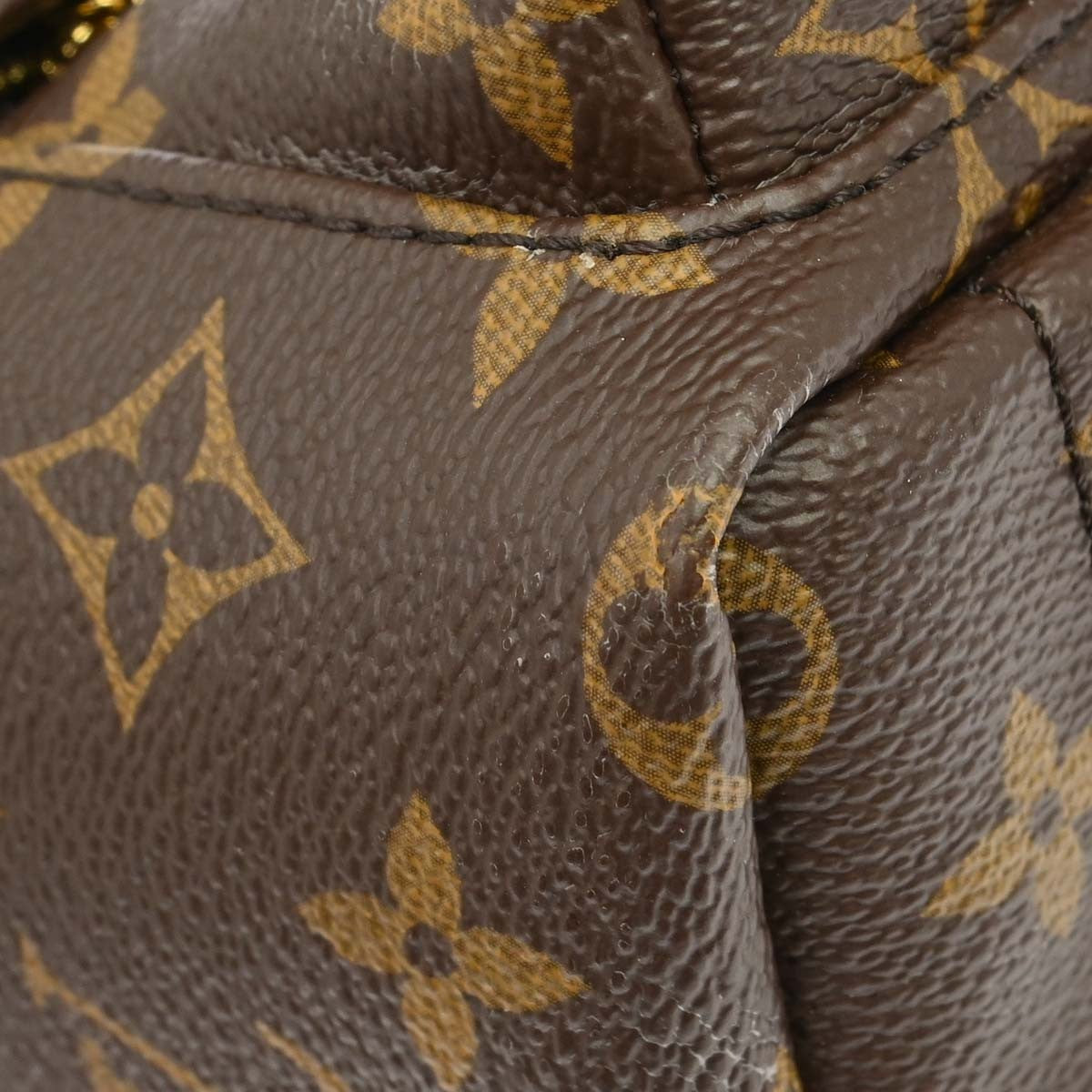 Louis Vuitton Palm Springs Monogram, Brown, Canvas, Backpack