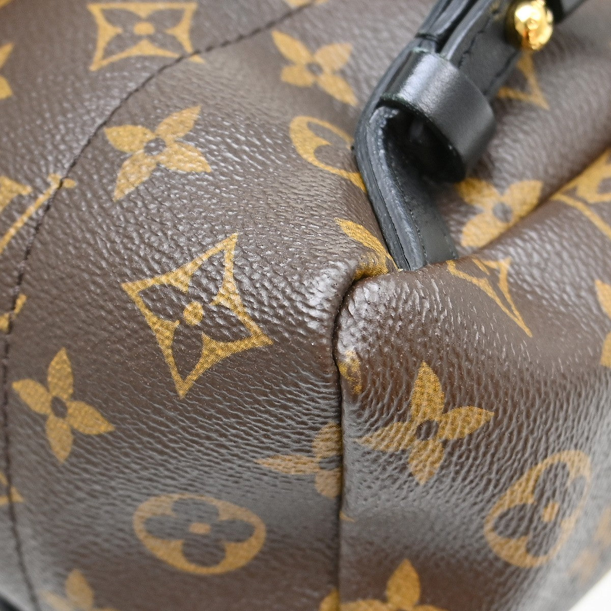 Louis Vuitton Palm Springs Monogram, Brown, Canvas, Backpack