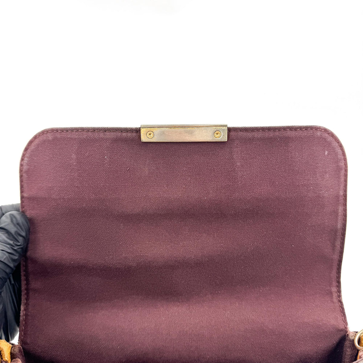 Louis Vuitton Favorite Monogram Canvas, Brown, Canvas, Handbag