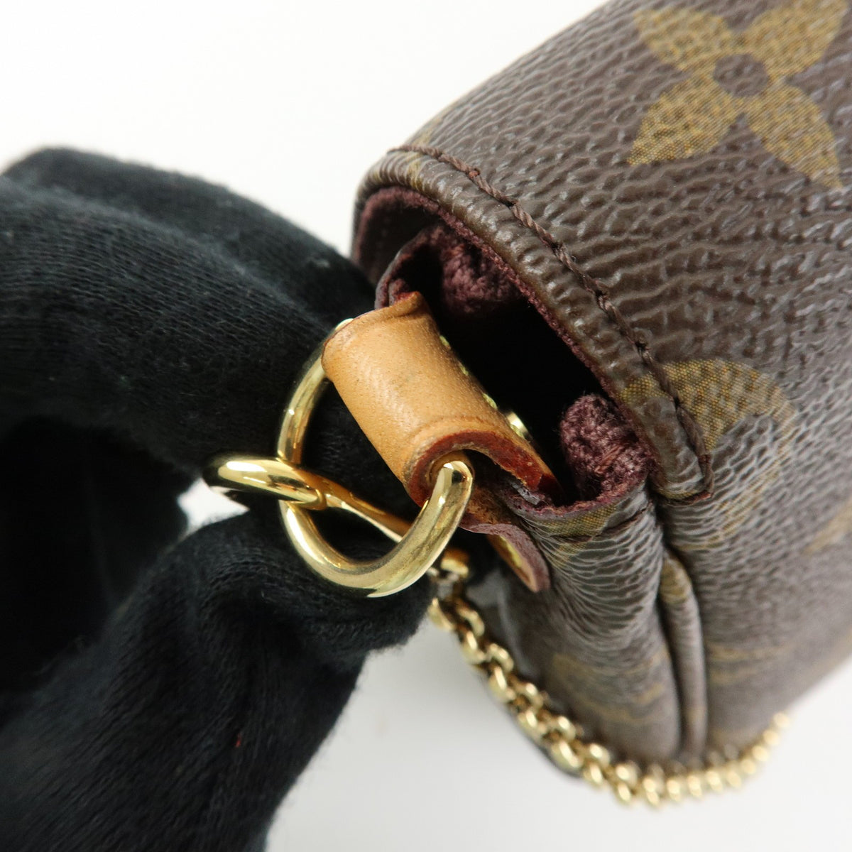 Louis Vuitton Favorite Monogram Canvas, Brown, Canvas, Handbag