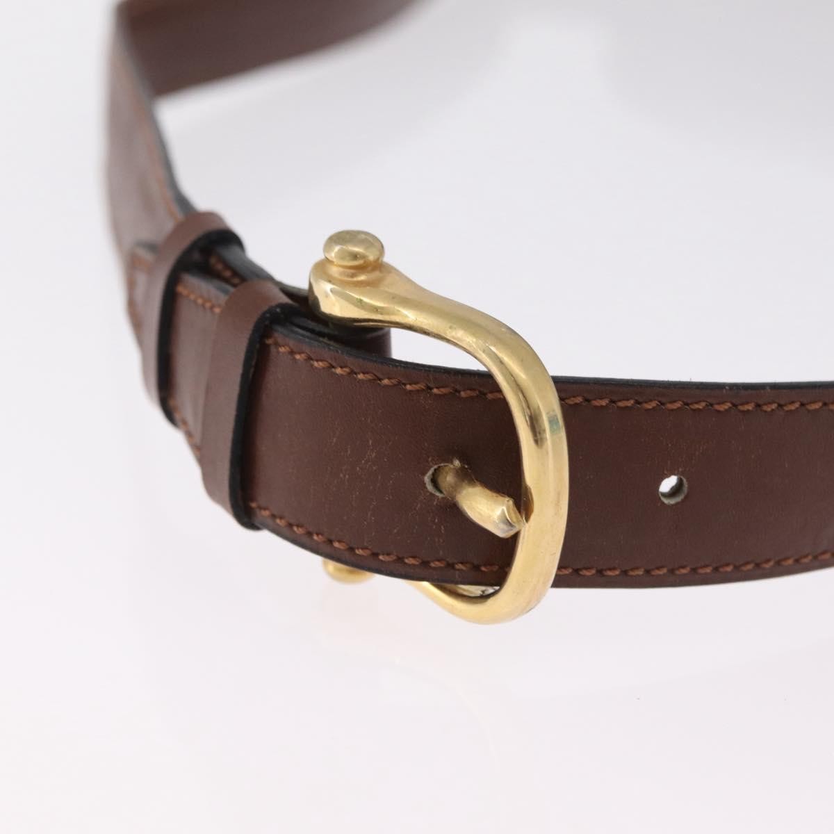 Celine Triomphe Leather, Brown, Leather, Shoulder Bag