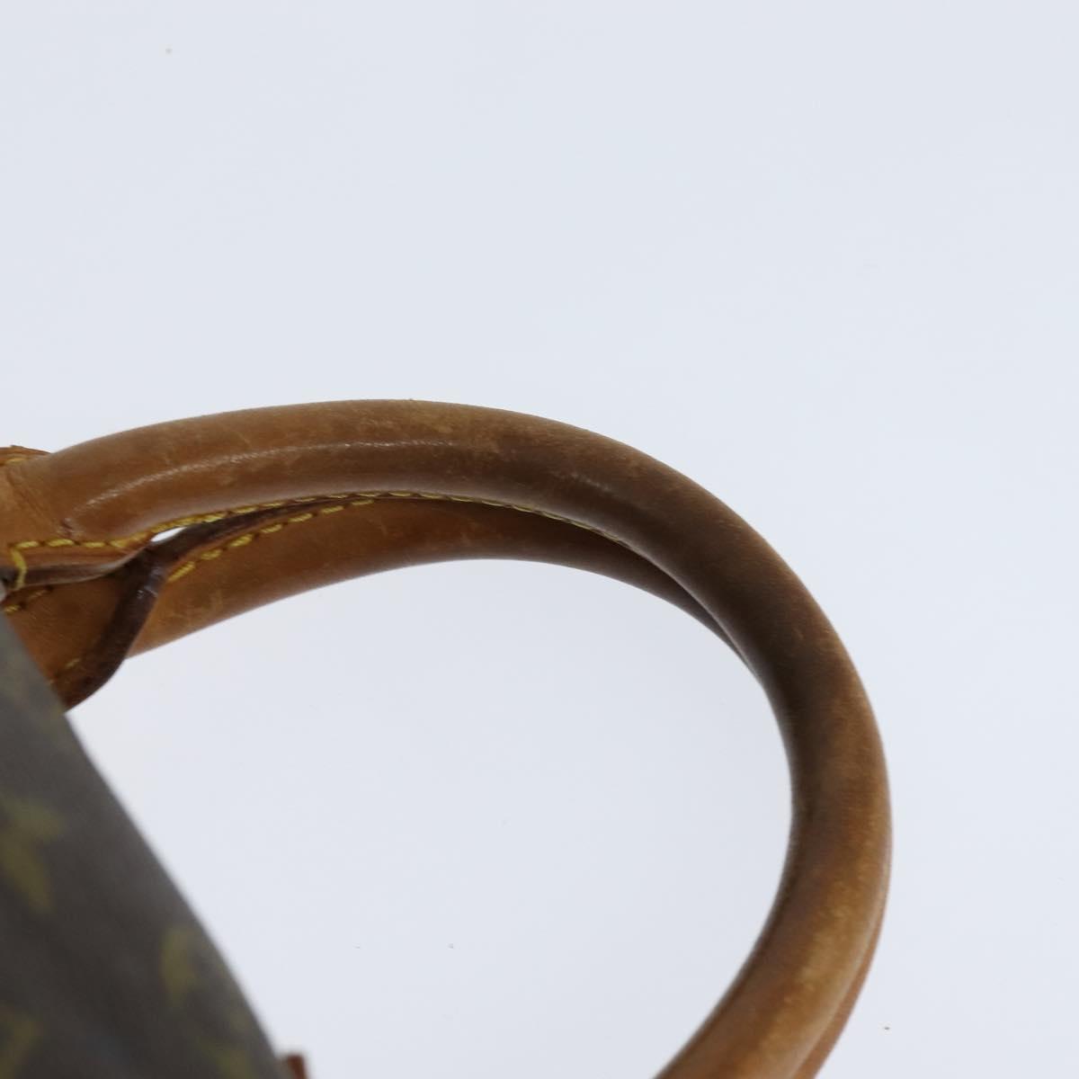 Louis Vuitton Speedy Handbag Monogram Canvas, BROWN, CANVAS, Handbag