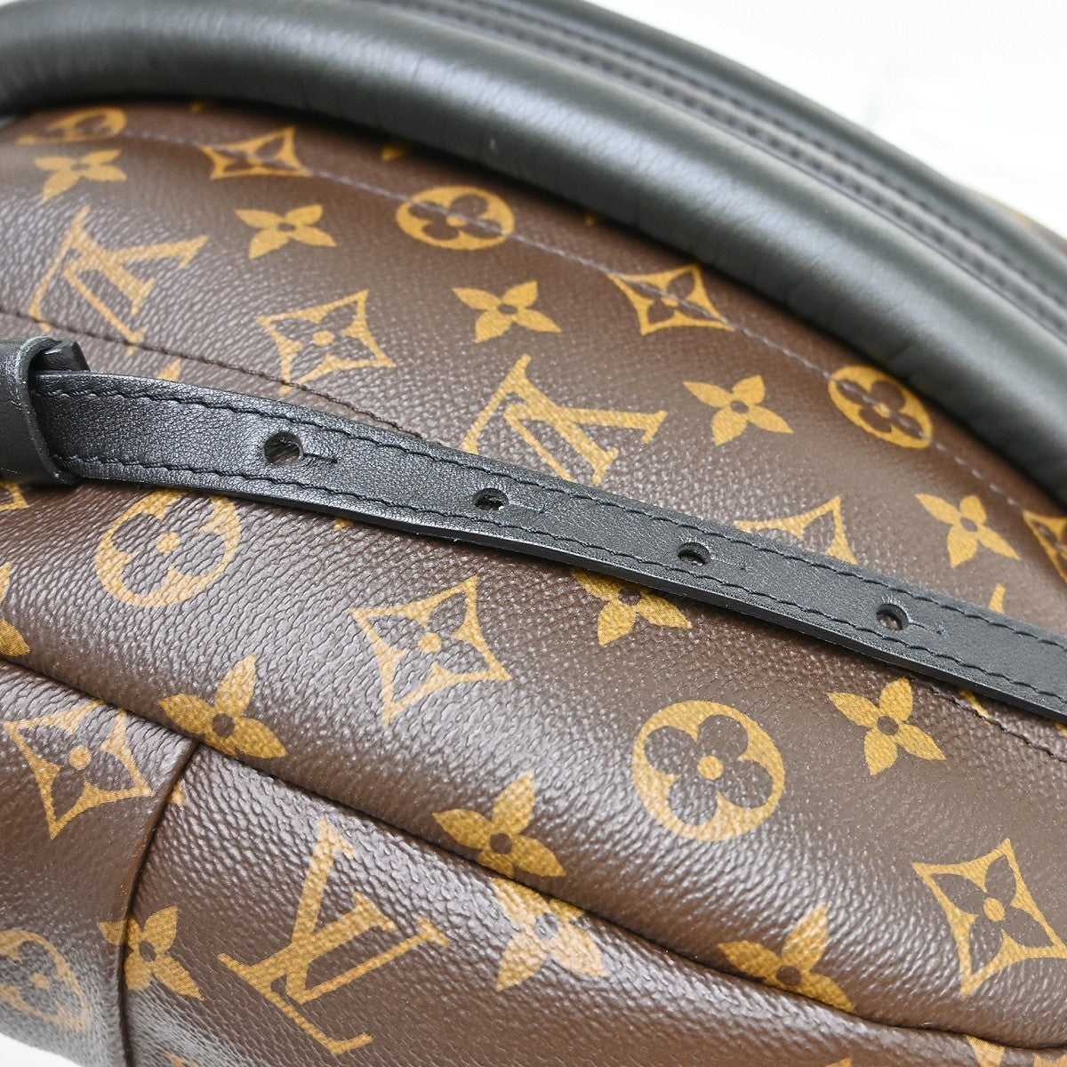 Louis Vuitton Palm Springs Monogram, Brown, Canvas, Backpack