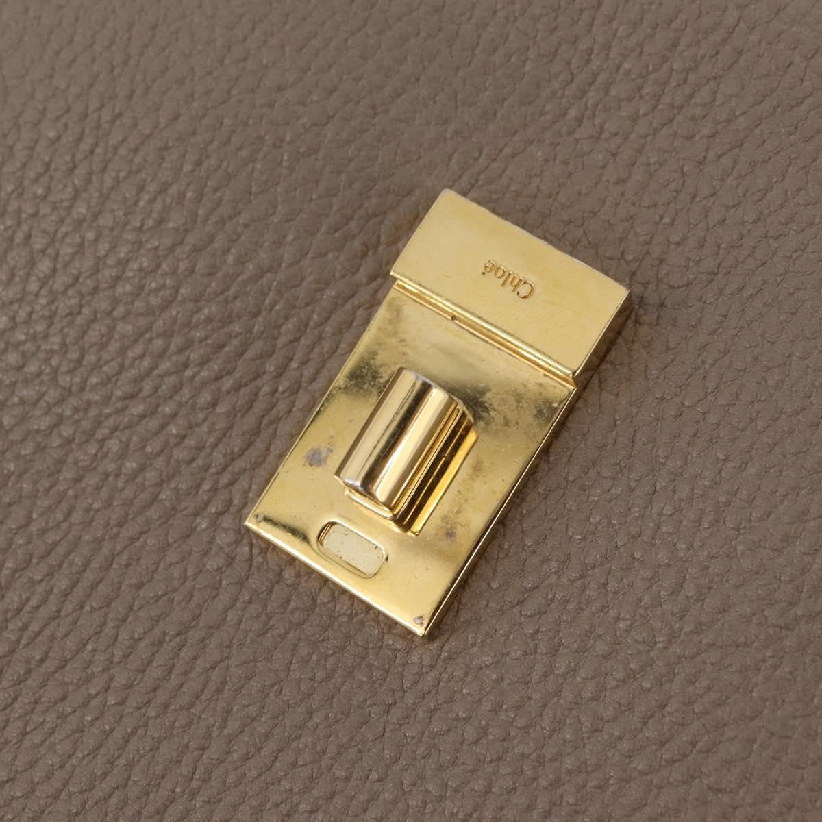 Chloe Drew Leather, Beige, Leather, Crossbody Bag