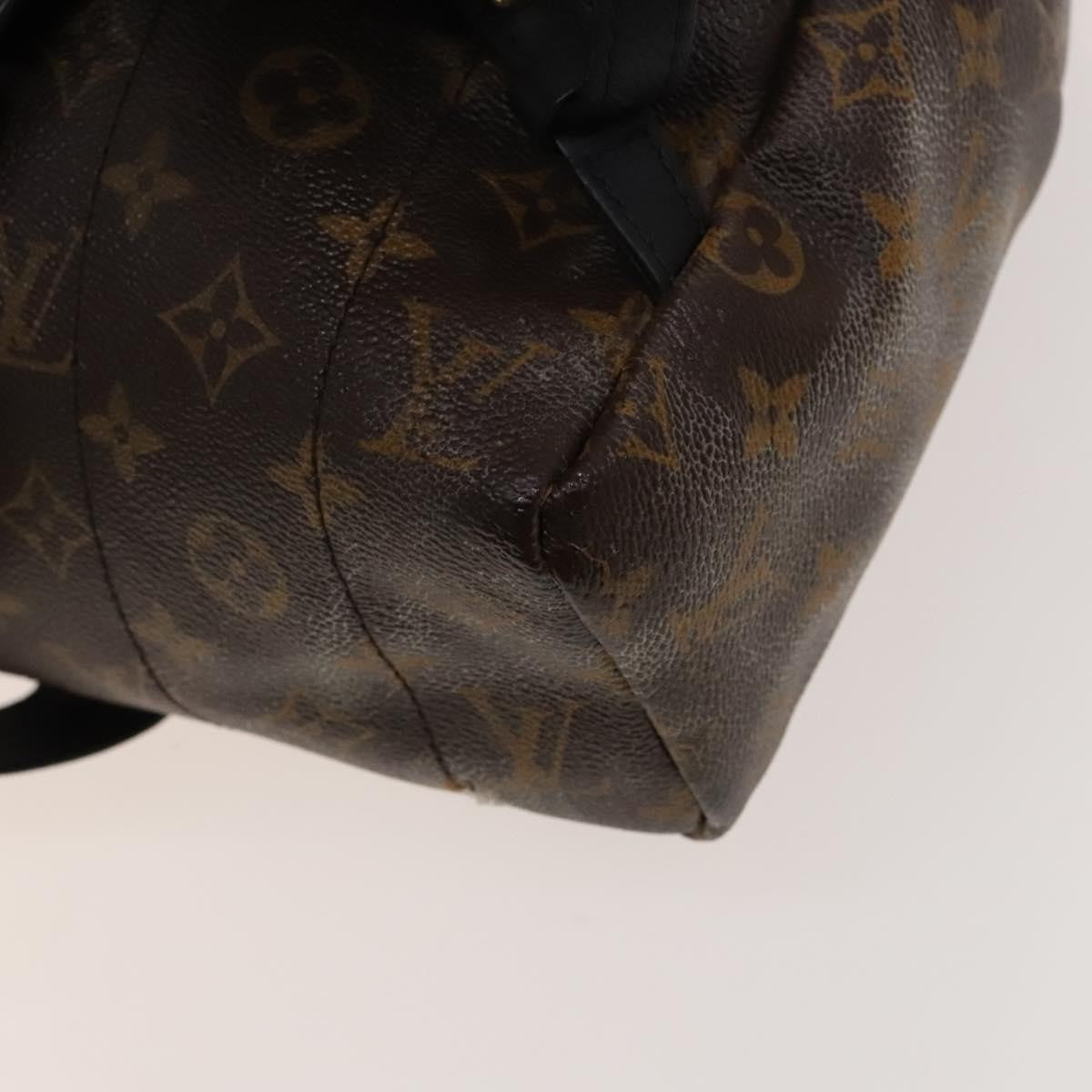 Louis Vuitton Palm Springs Monogram Canvas, Brown, Canvas, Backpack