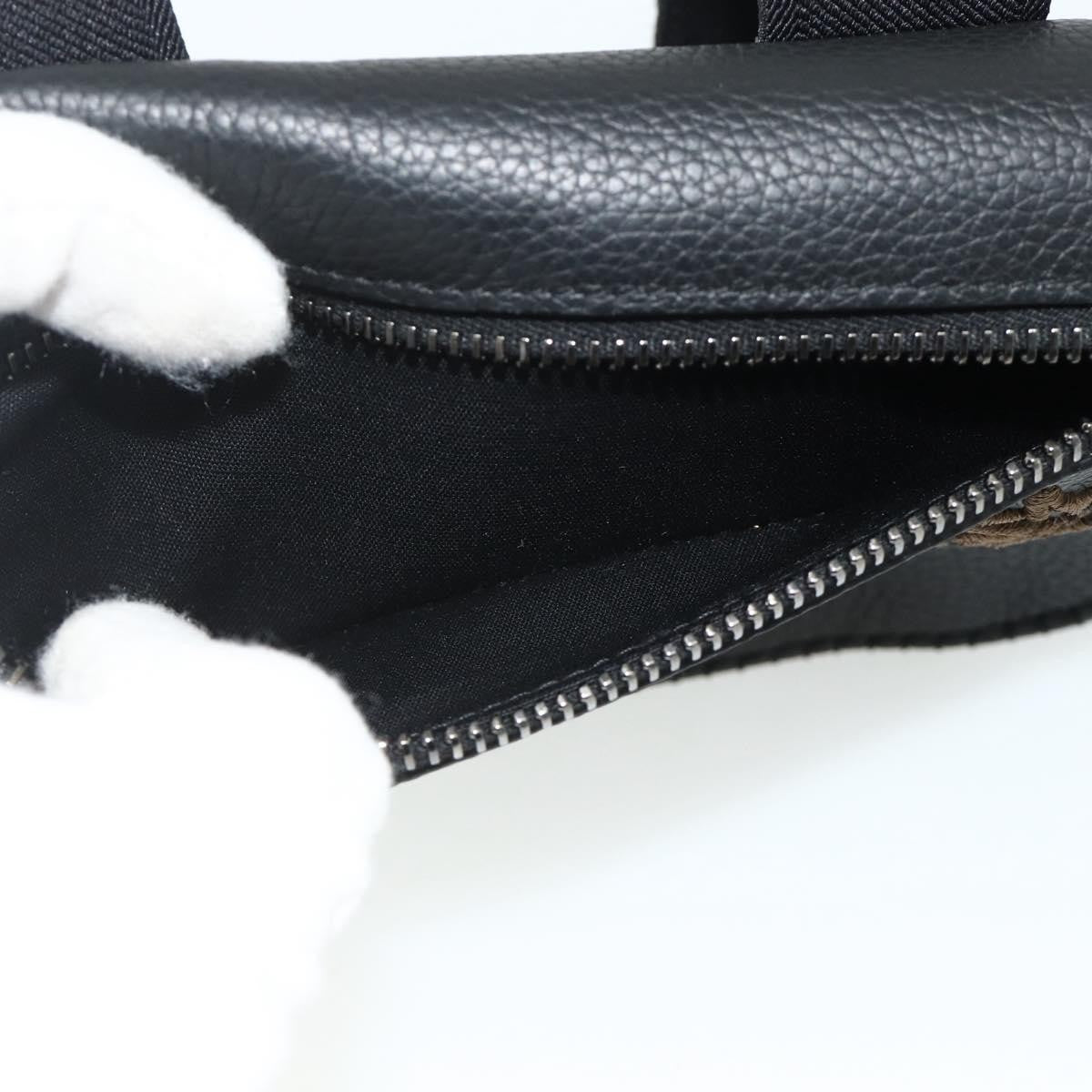 Christian Dior Saddle Pouch Belt Leather, Black, Leather, Clutch