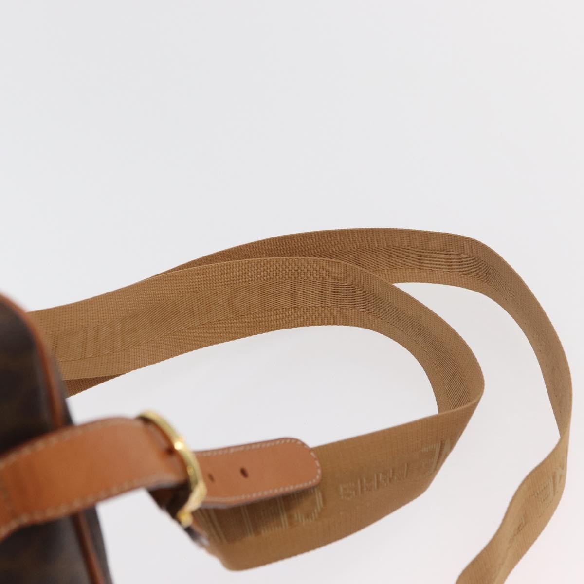 Celine Backpack Leather, Brown, Canvas, Backpack