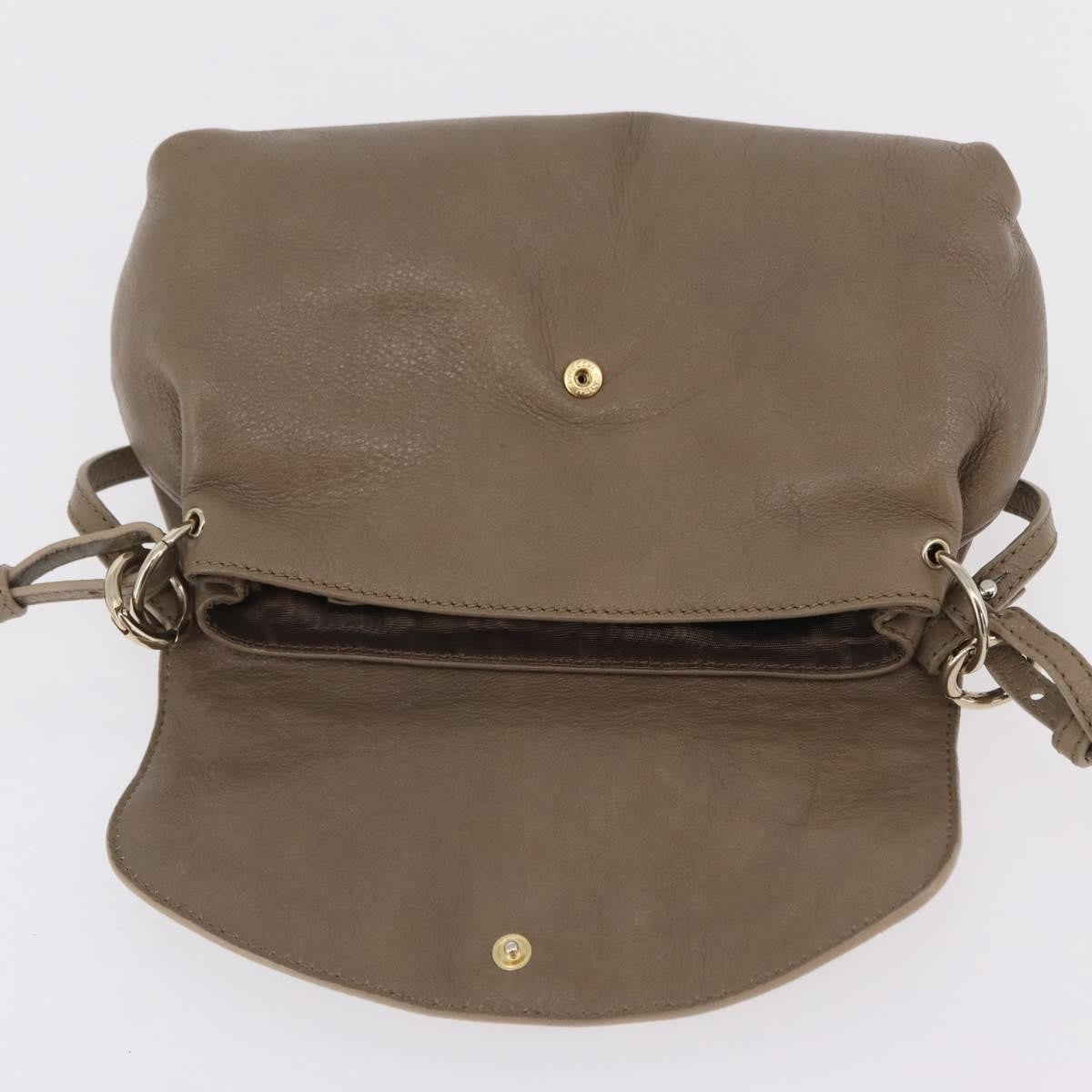 Chloe Lily Leather, Beige, Leather, Shoulder Bag