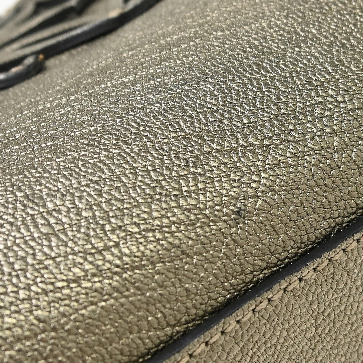 Loewe Amazona Leather, Gold, Leather, Handbag