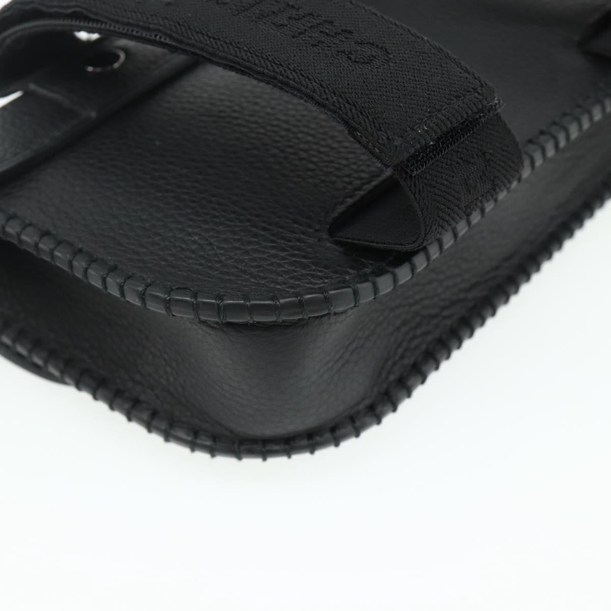 Christian Dior Saddle Pouch Belt Leather, Black, Leather, Clutch