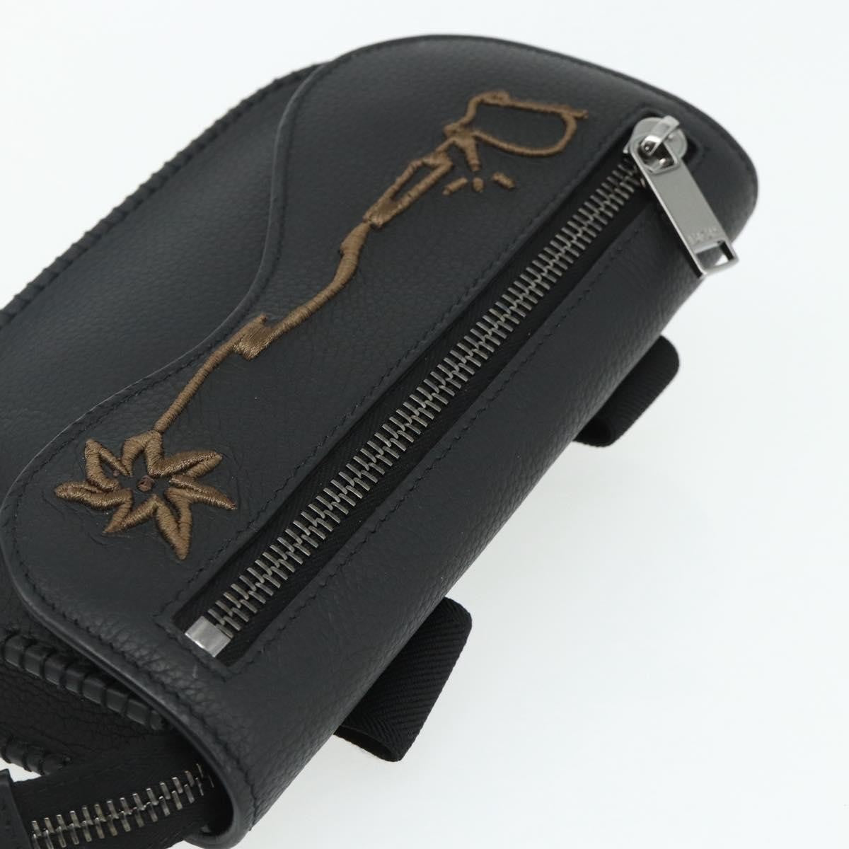 Christian Dior Saddle Pouch Belt Leather, Black, Leather, Clutch