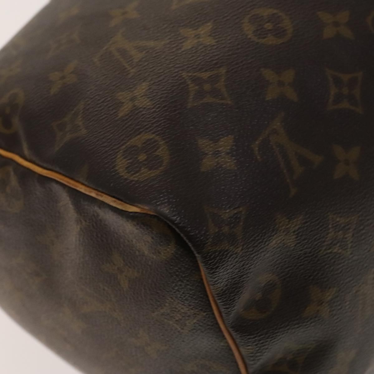 Louis Vuitton Speedy Handbag Monogram Canvas, BROWN, CANVAS, Handbag