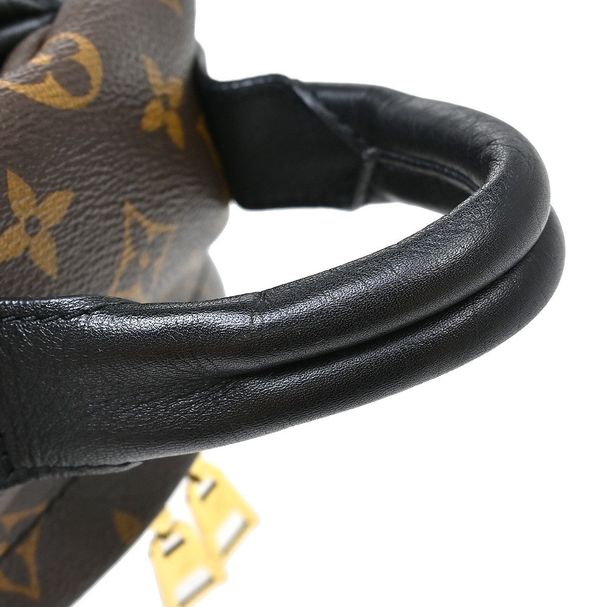 Louis Vuitton Palm Springs Monogram, Brown, Canvas, Backpack