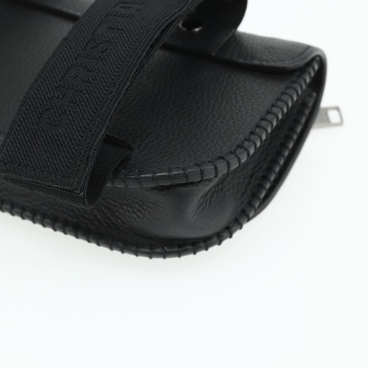 Christian Dior Saddle Pouch Belt Leather, Black, Leather, Clutch