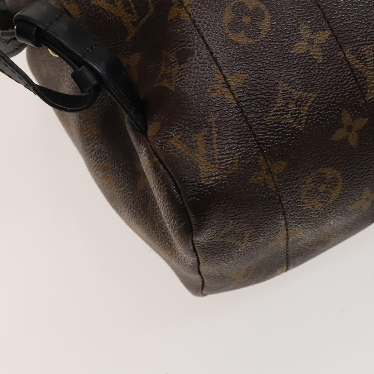 Louis Vuitton Palm Springs Monogram Canvas, Brown, Canvas, Backpack
