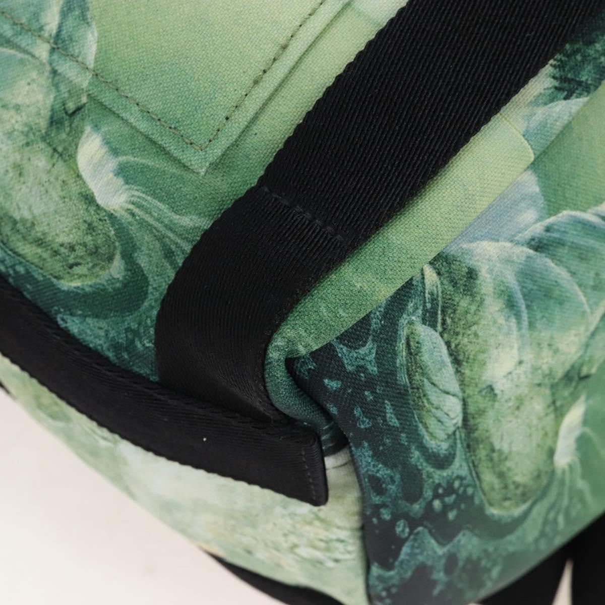 Valentino Garavani x Roger Dean Dragon Printed Nylon, Green, Nylon, Backpack