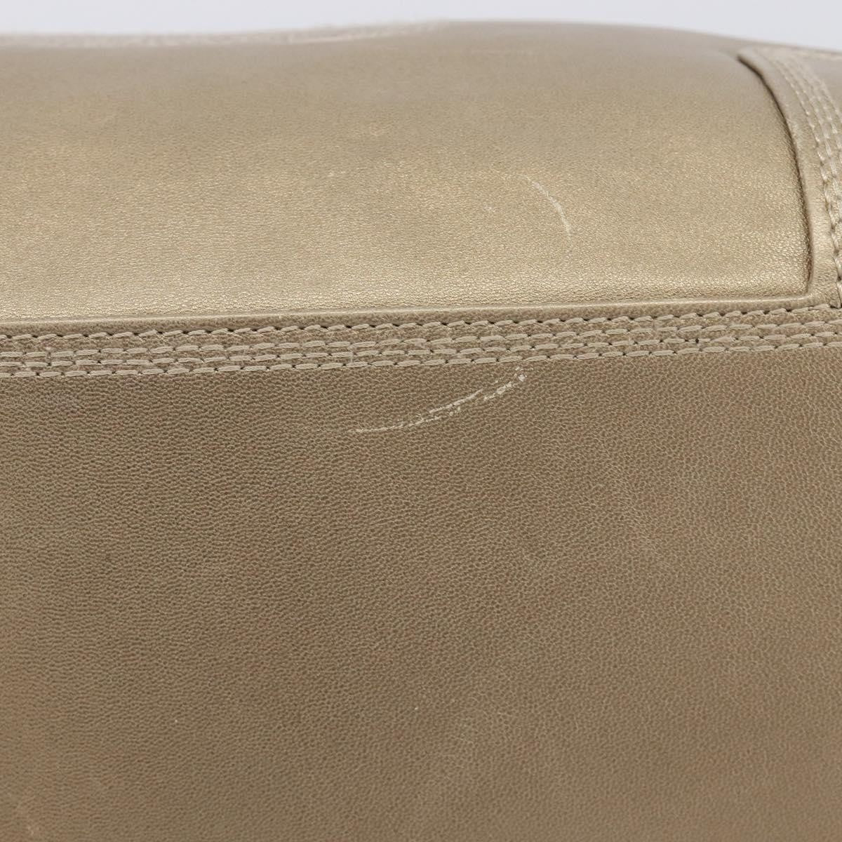 Loewe Amazona Leather, Gold, Leather, Handbag