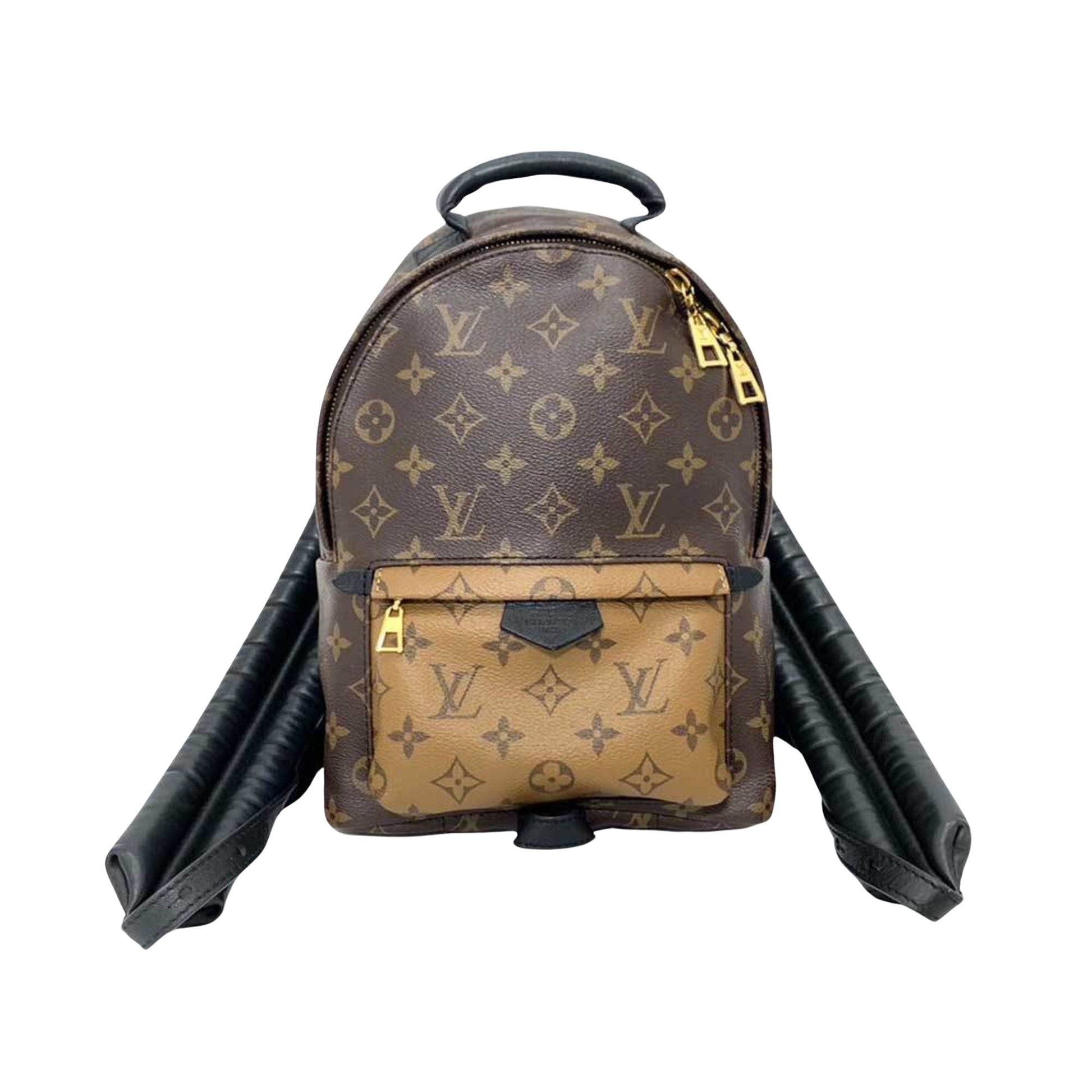 Louis Vuitton Palm Springs, Brown, Canvas, backpack