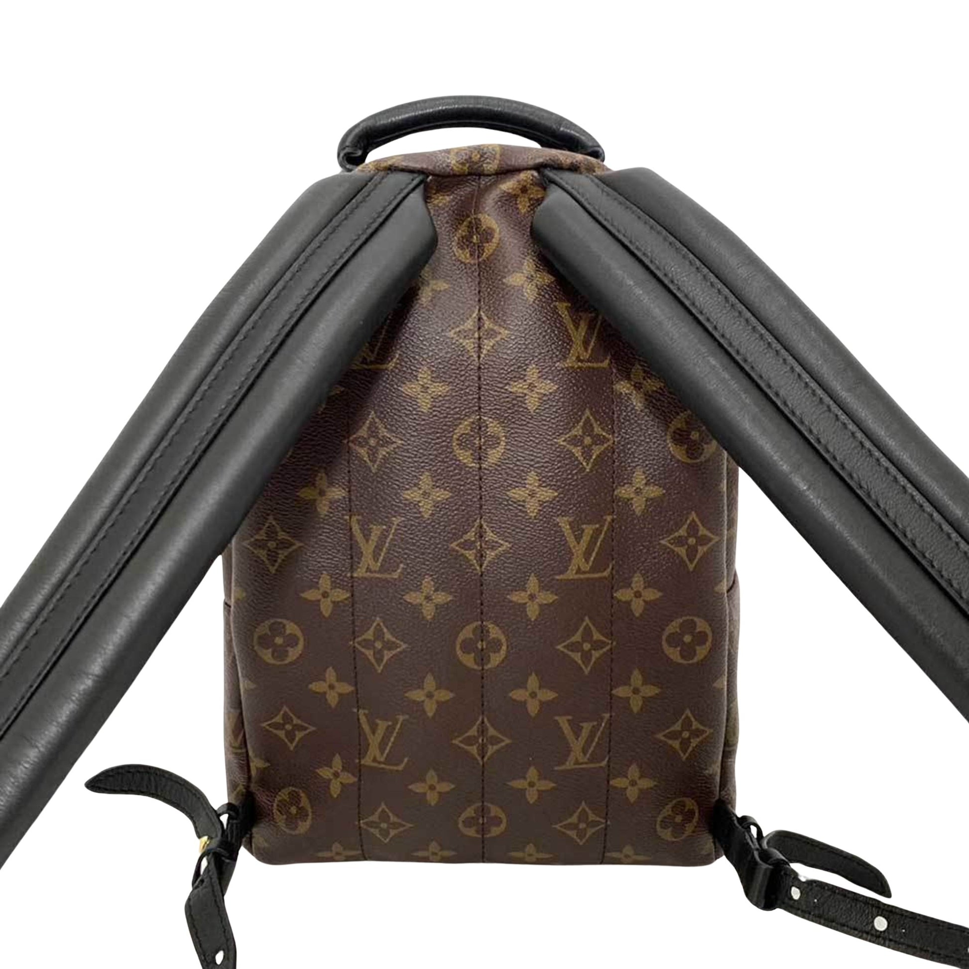 Louis Vuitton Palm Springs, Brown, Canvas, backpack