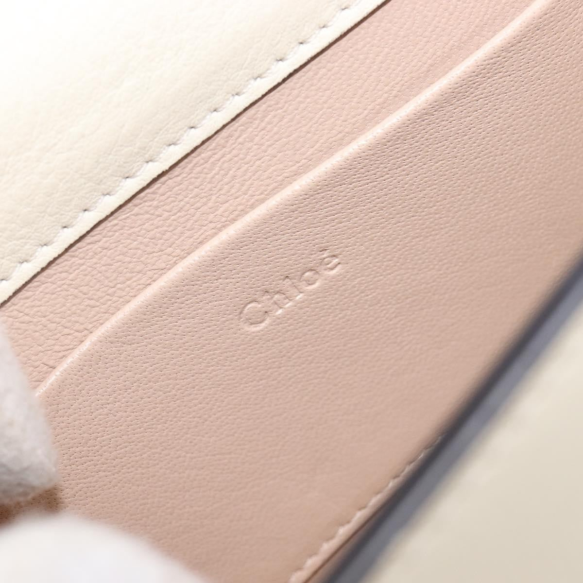 Chloe Nile Minaudière Leather, White, Leather, Handbag