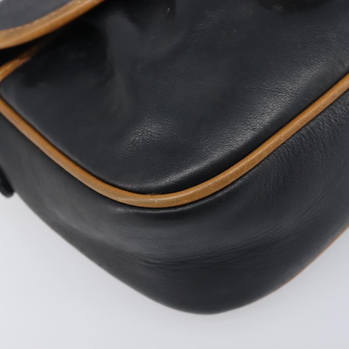 Celine Flap Shoulder Leather, Black, Leather, Shoulder Bag