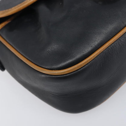 Celine Flap Shoulder Leather, Black, Leather, Shoulder Bag