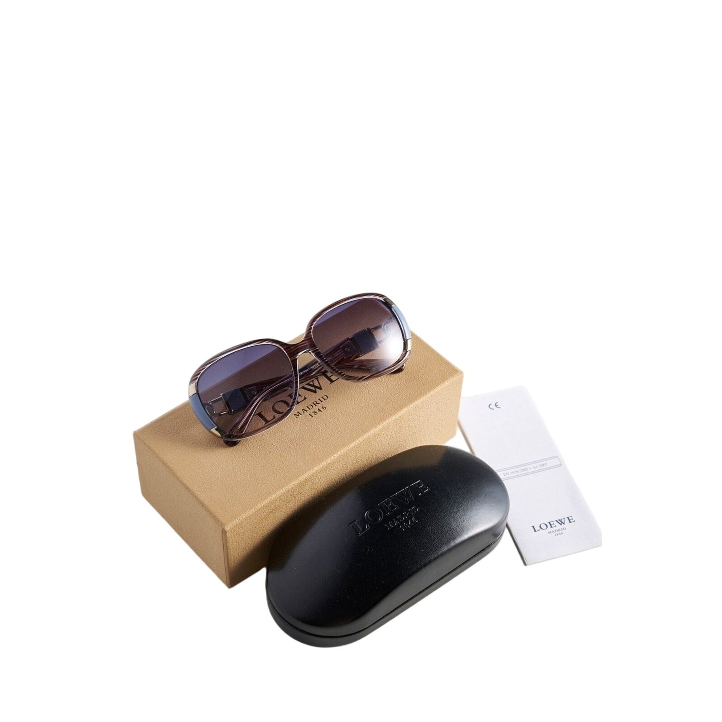 Loewe Sunglasses Multicolor Gradient Oversized