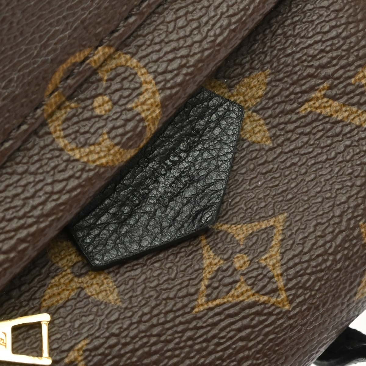 Louis Vuitton Palm Springs Monogram, Brown, Canvas, Backpack