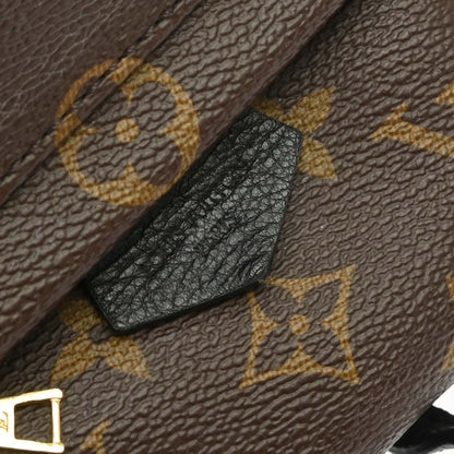 Louis Vuitton Palm Springs Monogram, Brown, Canvas, Backpack