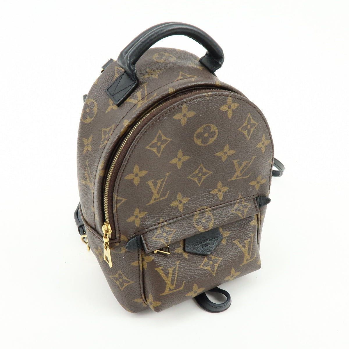 Louis Vuitton Palm Springs Monogram Canvas, Brown, Canvas, Backpack