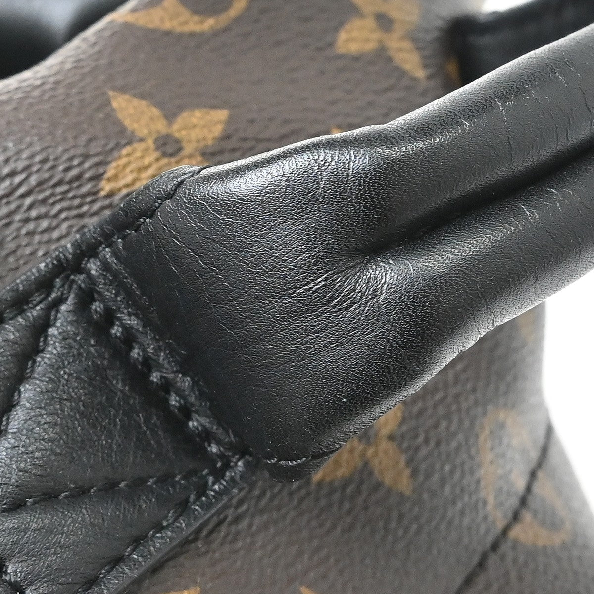 Louis Vuitton Palm Springs Monogram, Brown, Canvas, Backpack