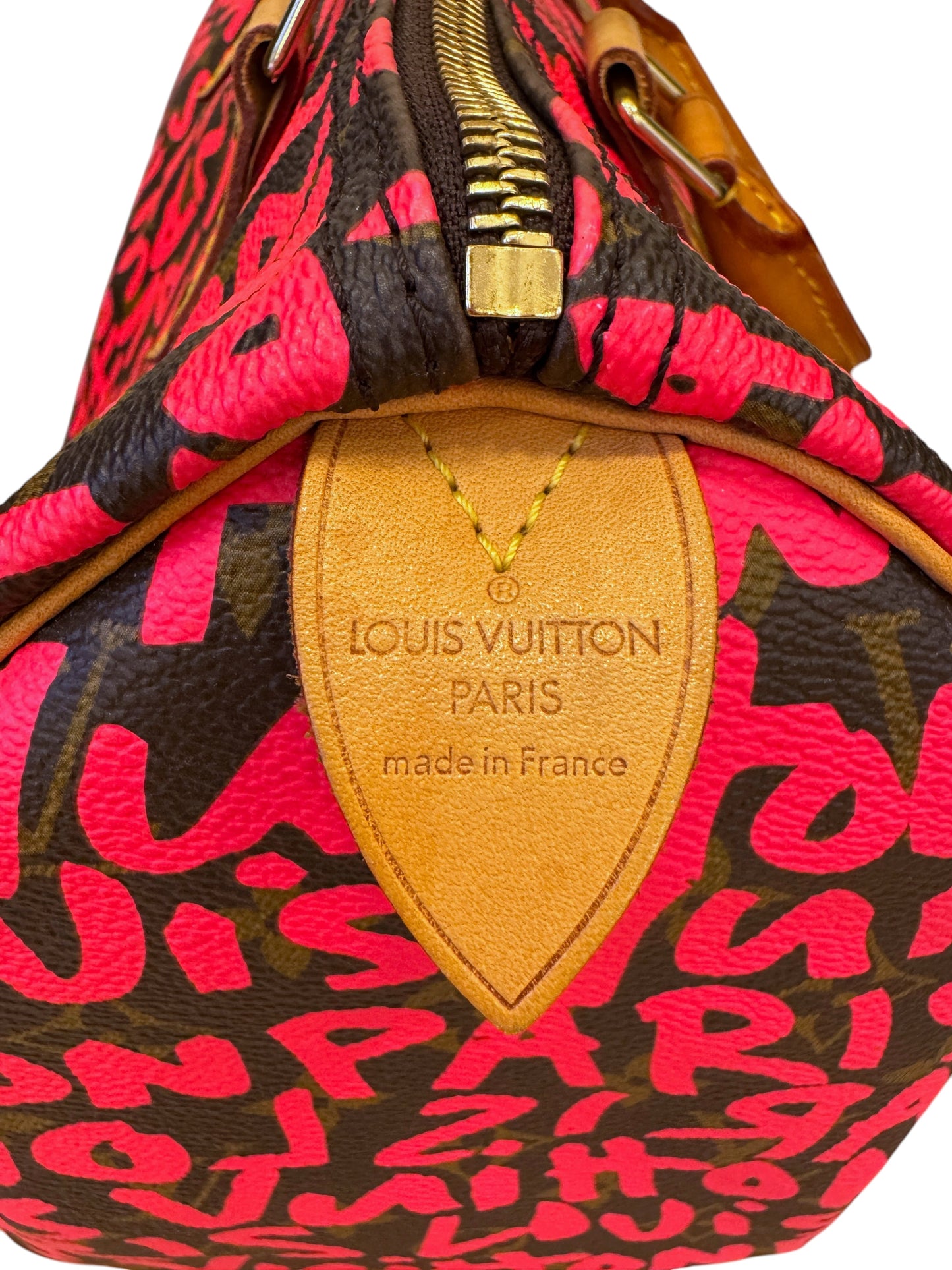 Louis Vuitton Handbag
