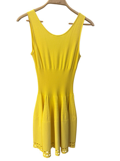 Alexander McQueen dress