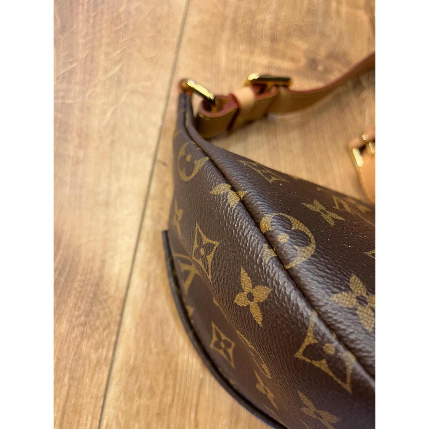 Louis Vuitton Monogram Bumbag