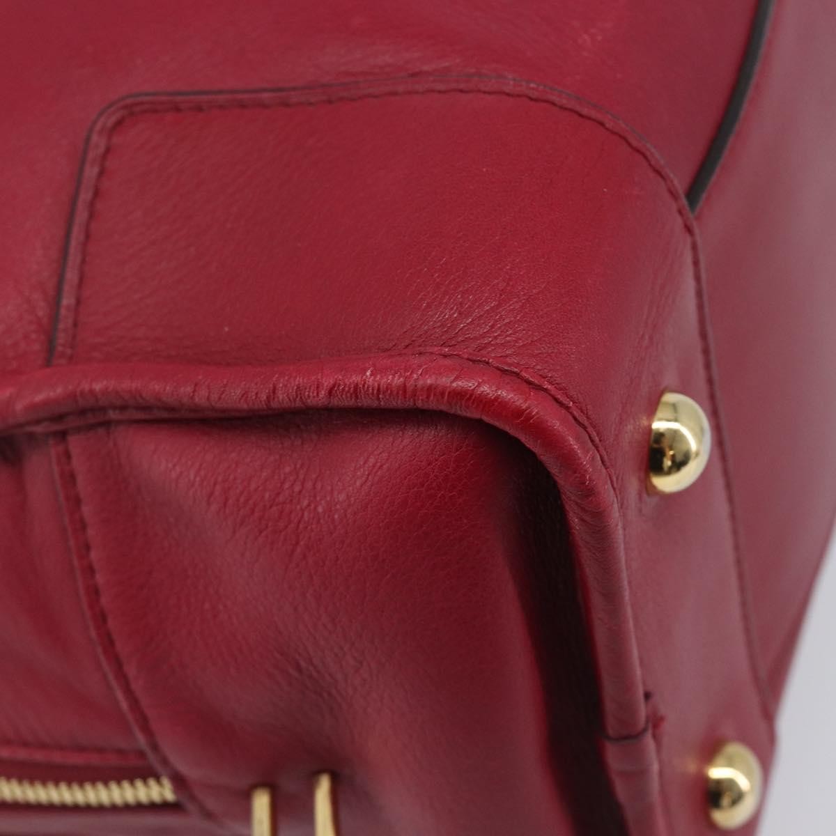 Loewe Amazona Leather, Red, Leather, Handbag
