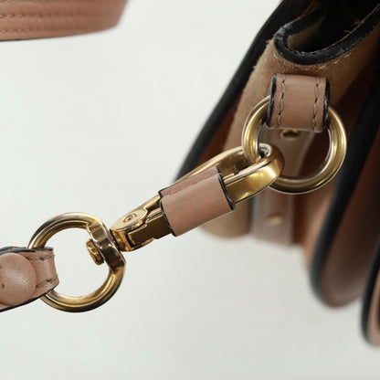 Chloe Nile Leather, Pink, Leather, Handbag