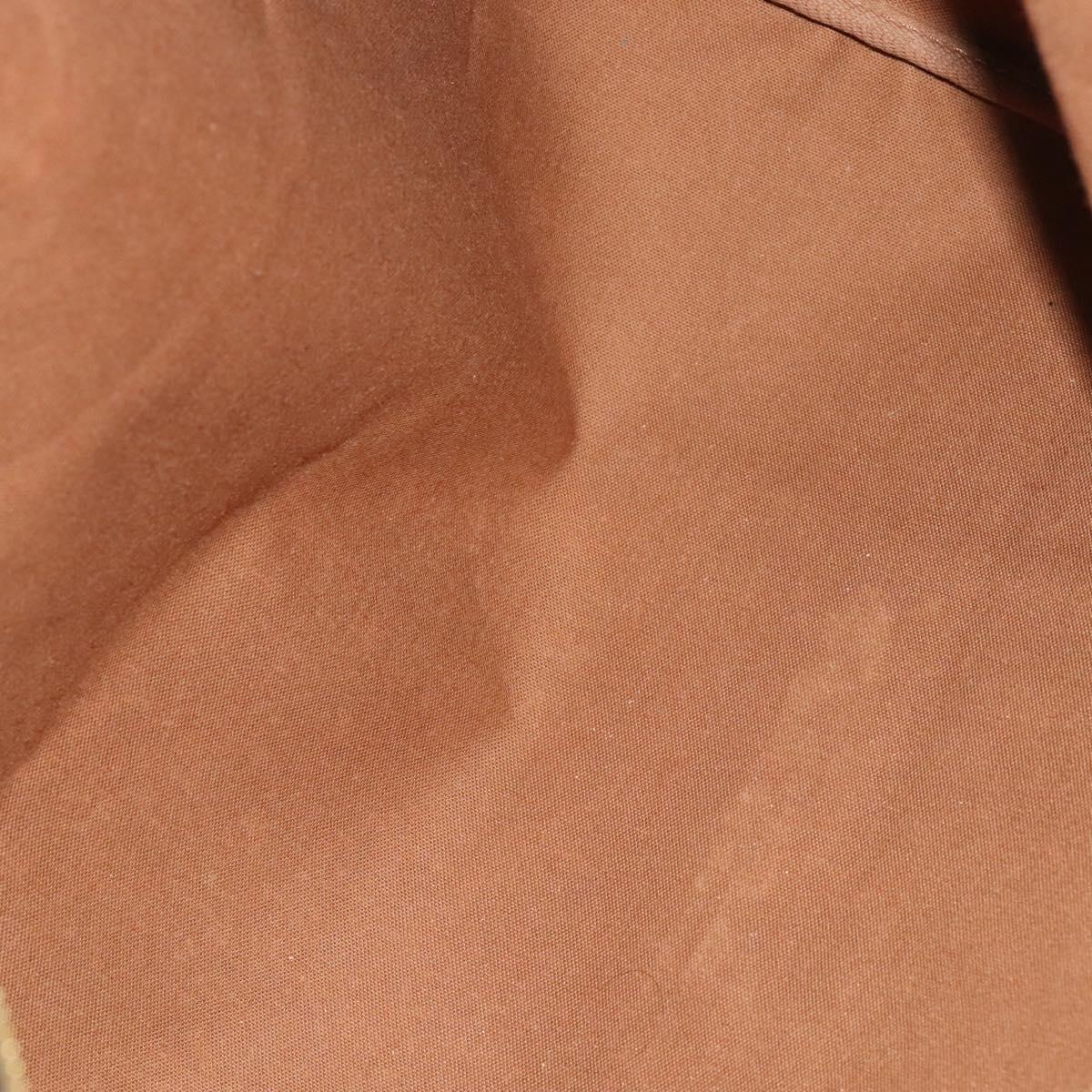 Louis Vuitton Speedy Handbag Monogram Canvas, BROWN, CANVAS, Handbag