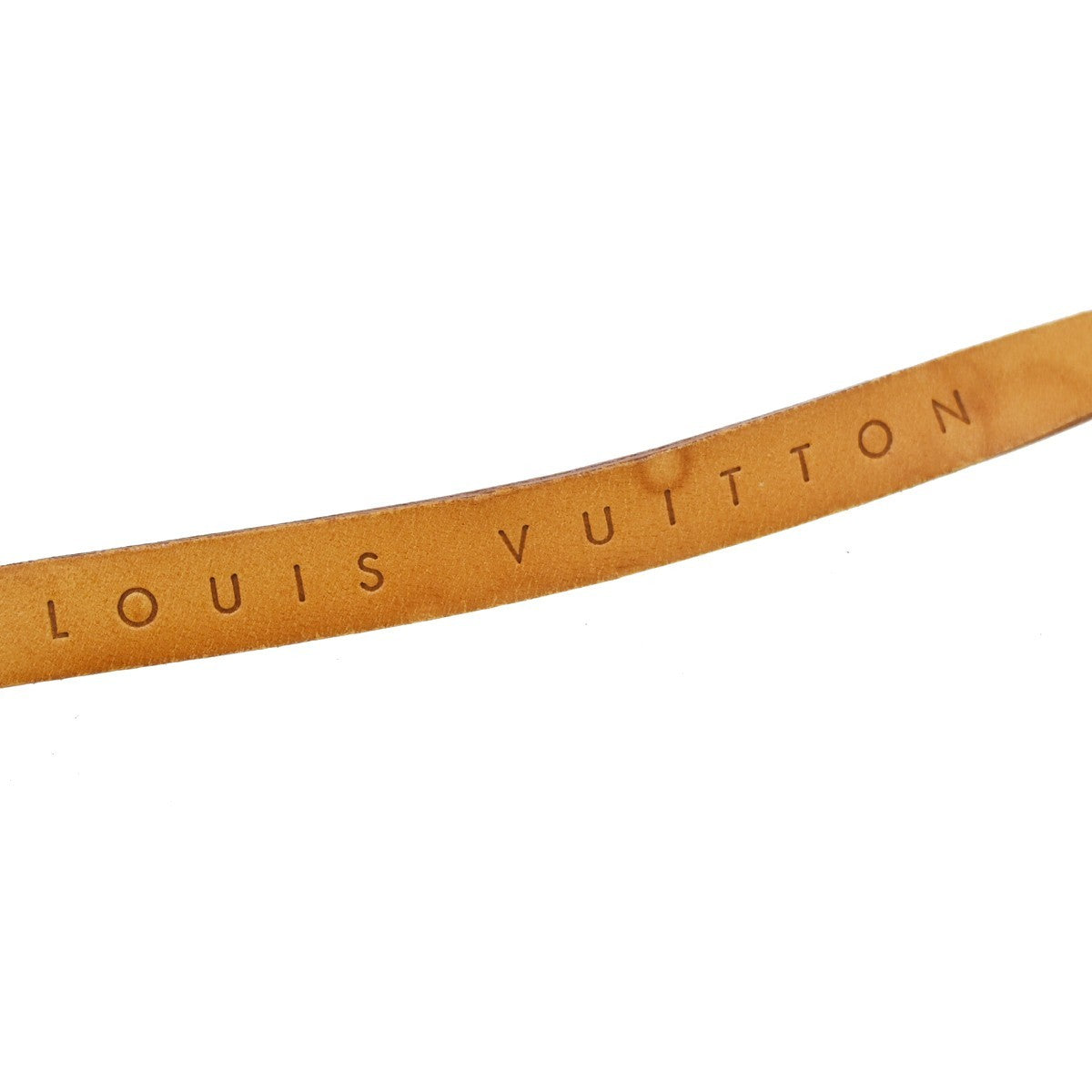 Louis Vuitton Florentine Waist Monogram Canvas, Brown, Canvas, Handbag