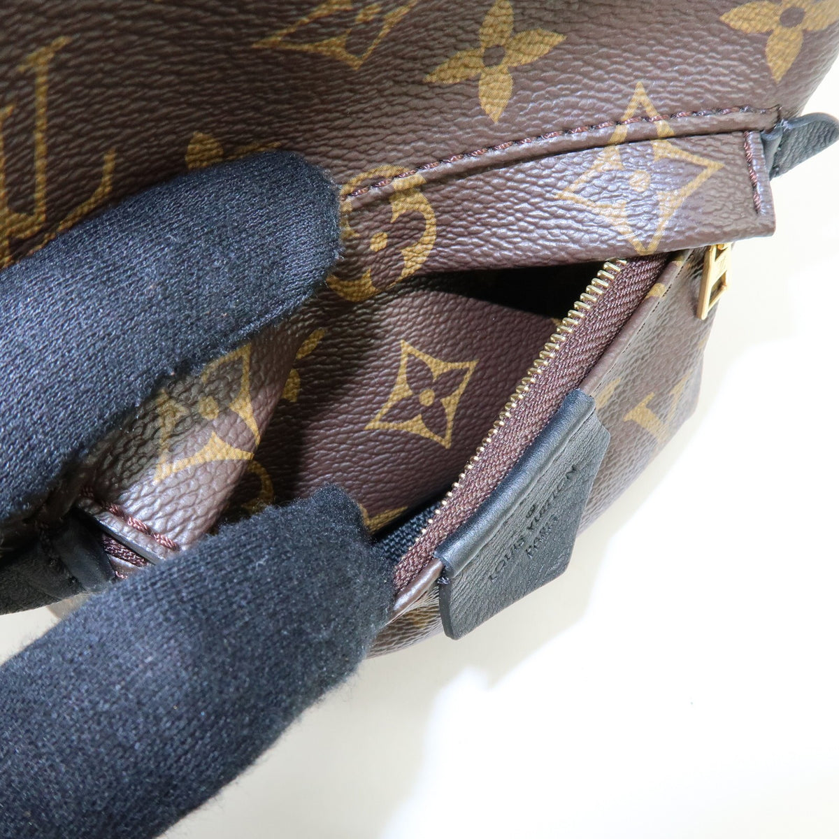 Louis Vuitton Palm Springs Monogram Canvas, Brown, Canvas, Backpack