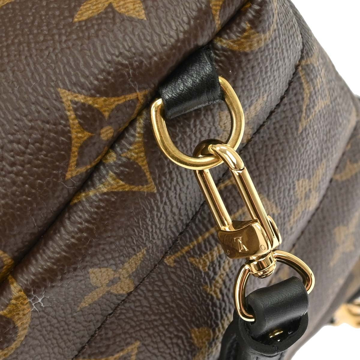 Louis Vuitton Palm Springs Monogram, Brown, Canvas, Backpack