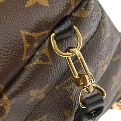 Louis Vuitton Palm Springs Monogram, Brown, Canvas, Backpack