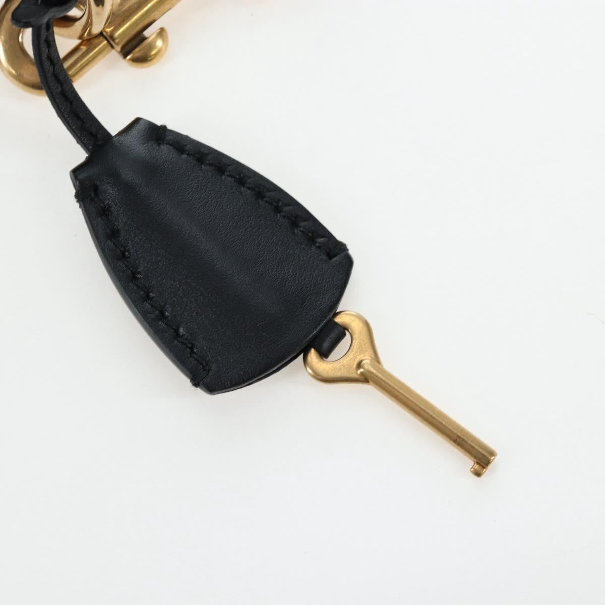 Christian Dior Dioraddict Lockbox Printed Leather, Black, Leather, Shoulder Bag