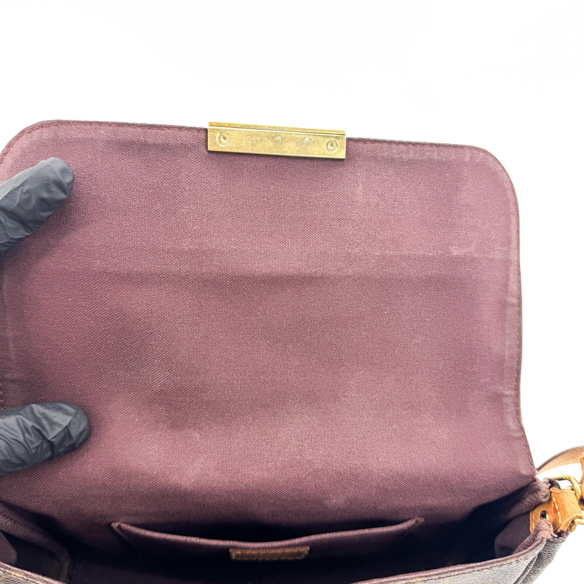 Louis Vuitton Favorite Monogram Canvas, Brown, Canvas, Handbag
